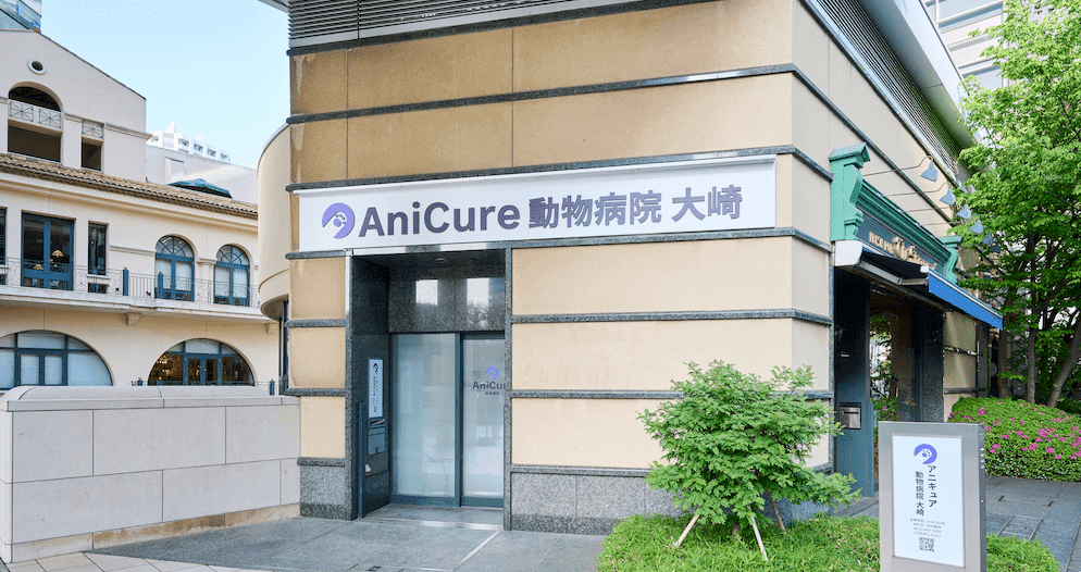 アニキュア動物病院 大崎